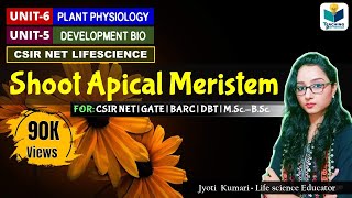 SHOOT APICAL MERISTEM SAM  CSIR NET  PLANT BIOLOGY [upl. by Saalocin]