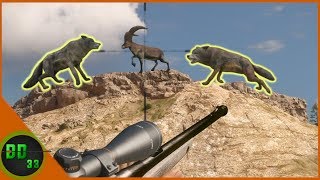 Iberian Wolf Hunting with The 65 SNIPER RIFLE Call Of The Wild [upl. by Fonda620]