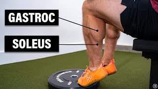 Calf Muscle Strain Injury Best Exercises for Rehab and How to Return to Running [upl. by Ahseele194]