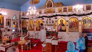 Festal Divine Liturgy  Holy Theophany January 6 2024 [upl. by Dinsmore]