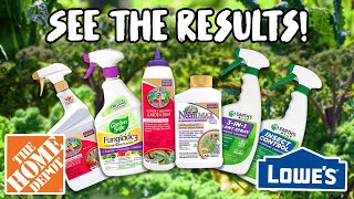 Testing the TOP ORGANIC PESTICIDES from HOME DEPOT and LOWES Do they ACTUALLY WORK [upl. by Feldt]