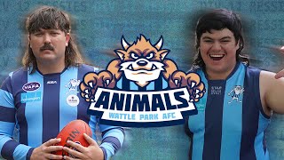 Div 12 Ressies Season 2024 Club Announcement Wattle Park Animals [upl. by Sirrom476]