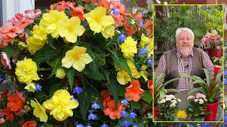 LE QUOTIDIEN DU JARDIN  QUELLES SONT LES MEILLEURES FLEURS À PLANTER À L’OMBRE  émission N°148 [upl. by Eirrehs]