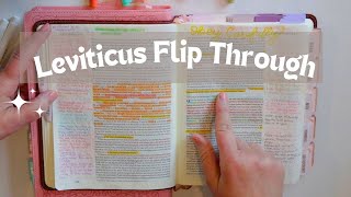 My Leviticus Bible Journaling Notes [upl. by Caralie]