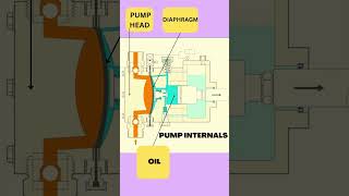 DIAPHRAGM METERING PUMP [upl. by Richey]