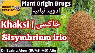 Khaksi  خاکسی Sisymbrium irio Advia Mufradh lecture with slide presentation [upl. by Aihsiek]