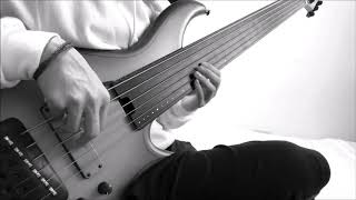 Gordian Knot  Rivers Dancing Sean Malones Bass Solo  Bass Cover [upl. by Rennie]