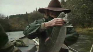 Fishing The West Alsea Part Two [upl. by Atteloj]