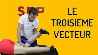 UTILISATION DE LA CEINTURE DANS LA THÉRAPIE MANUELLE  LE TROISIÈME VECTEUR DE MOBILISATION [upl. by Morra]