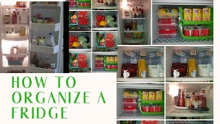 HOW TO ORGANIZE A FRIDGE Dollar Tree fridge organization tips and ideas [upl. by Toffic974]