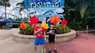 SEA WORLD ORLANDO  VLOG DAY 🎥 [upl. by Enelrae]