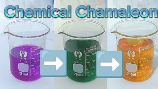 Recreating the chemical chameleon reaction [upl. by Orsay]