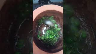 Sundakai vatha kolabu its good for Skin bone protein iron calcium vitaminCAmma Simple Recipes [upl. by Tham]