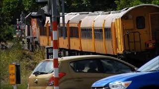 Glenbrook Vintage Railway East West Rail Tour Napier Hawkes Bay visit 9 11th November 2024 [upl. by Lonee]