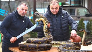 Cocinamos CARNE de SERPIENTE a la parrilla [upl. by Sirromed981]