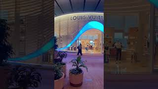 Singapore Changi Airport luxury airport singapore shopping shorts dior louisvuitton tiffany [upl. by Alauqahs486]