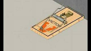 How to Set a Mouse Trap  Video Instructions  Demo [upl. by Irami]