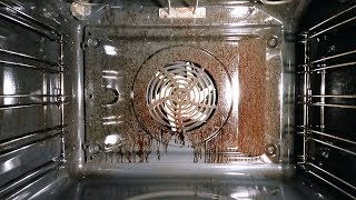 How to selfclean an oven My first test [upl. by Aihsoek]