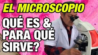 Qué es el microscopio y para qué sirve [upl. by Fogg]