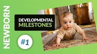 Babys Developmental Milestones 012 Months What to Expect [upl. by Rydder]