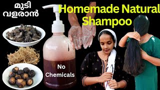 Chemical free Homemade Natural Shampoo❤How to prepare soap nut Natural Shampoo❤Best natural shampoo [upl. by Girardo]