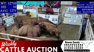 1232024  Beaver County Stockyards Livestock Auction [upl. by Inavoy105]