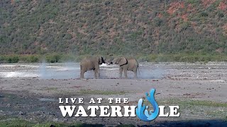 Live At The Waterhole  31 May 2024 [upl. by Morrill240]