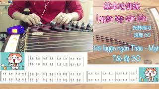 「Sean玉泰」Guzheng Luyện tập căn bản 6  基本功练习6  托抹组合练习 Tổ hợp Thác  Mạt căn bản [upl. by Analad680]