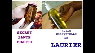 TUTTO COMMENT FAIRE L HUILE ESSENTIEL DE LAURIER [upl. by Yrovi698]