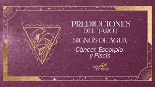 Tarot segunda mitad de enero  Signos del ElementoAgua ♋♏♓ [upl. by Selima998]