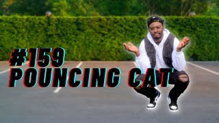 HOW TO POUNCING CAT IN 15 SECONDS LESSON 159 shorts [upl. by Zobkiw962]