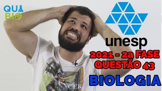 UNESP 2021  Questão 43  Pesquisadores “imprimiram” o primeiro coração 3D vascularizado usando [upl. by Nnaeel]