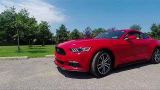 Ecoboost Mustang 5 things To know before buying [upl. by Jaret]