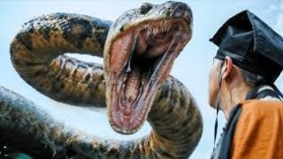 Anaconda 2024 Film Explained in HindiUrdu  Anaconda Giant Snakes are Real Summarized हिन्दी [upl. by Ahsaz]