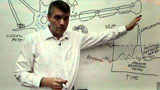 03 parts of the neuron with physiology 03 axon myelinwmv [upl. by Ian]