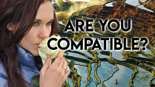 Incompatibility A Harsh Reality in Relationships  Teal Swan [upl. by Tzong]