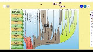 The Debate Cladistics or Evolutionary Systematics [upl. by Undry]