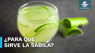 Los beneficios de tomar agua de sábila en ayunas [upl. by Akinom]