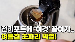 전기포트에 이것을 넣고 끓이면 초파리 박멸 주방 골칫거리가 한방에 사라집니다  초파리 없애는 법 [upl. by Juxon180]