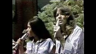 Starland Vocal Band  Afternoon Delight 1976 [upl. by Melvyn]