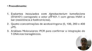 Transformação Genética de Trigo Durum Marroquino Protocolo para Tolerância à Seca [upl. by Feetal]