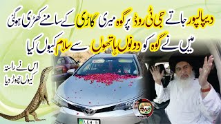 Allama Hafiz Khadim Hussain Rizvi  Dipalpur Jate Goh Meri Car Ke samne A gai  Goh Ko Salam HD [upl. by Ludlew]