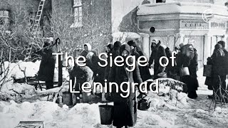 The Siege of Leningrad A siege that led to cannibalism EP 110  World Stories [upl. by Petunia]