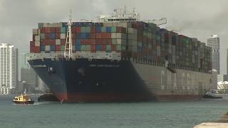 MiamiDade Minute  Largest Container Ship Welcome [upl. by Acisey]