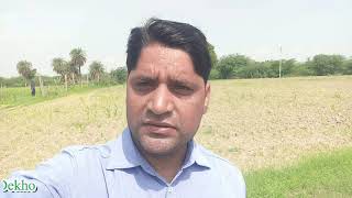 6 Lakh Per Bigha Agricultural Land in Jaipur Near NH 8 Highway Direct Party Ki Jameen RojDekho [upl. by Joseph]