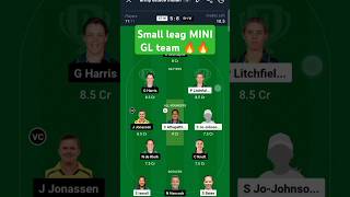 STW amp BHW WBBLDREAM 11 TEAM FANTASYTEAM SMALL LEAG dream11team ipl dream11ipl dream11fantasy [upl. by Mathia641]