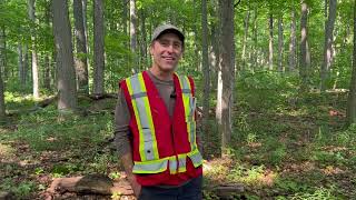 Resources from the Ontario Woodlot Association [upl. by Lumbye]