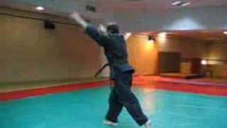 Ninjutsu Forward spring zenpo tenkai  techniques for AKBAN wiki [upl. by Egap]