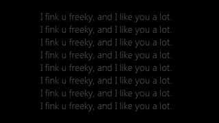 Die Antwoord  I Fink U Freeky Lyrics On Screen [upl. by Nylireg]