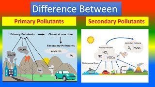 Difference Between Primary Pollutants and Secondary Pollutants [upl. by Shalna78]